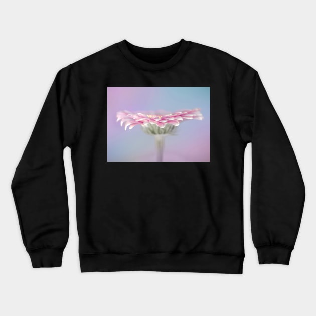 Pink Gerbera Crewneck Sweatshirt by TonyNorth